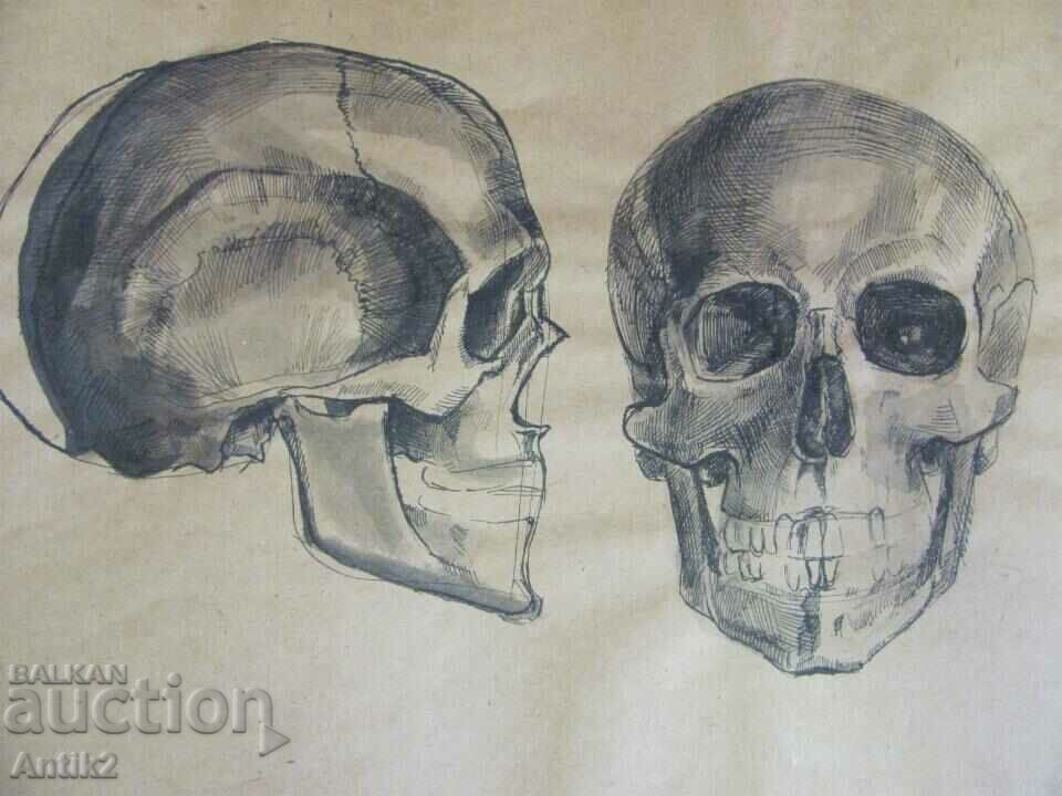 Vintich Original Painting - Human Skull with price 150.00 BGN | € 76.69 Vintich Original Painting - Human Skull with price 150.00 BGN | € 76.69