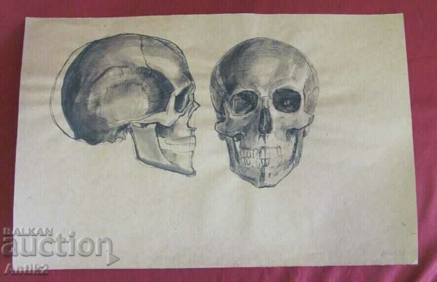 Πρωτότυπος πίνακας ζωγραφικής Vintich - Human Skull