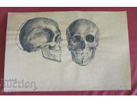 Πρωτότυπος πίνακας ζωγραφικής Vintich - Human Skull