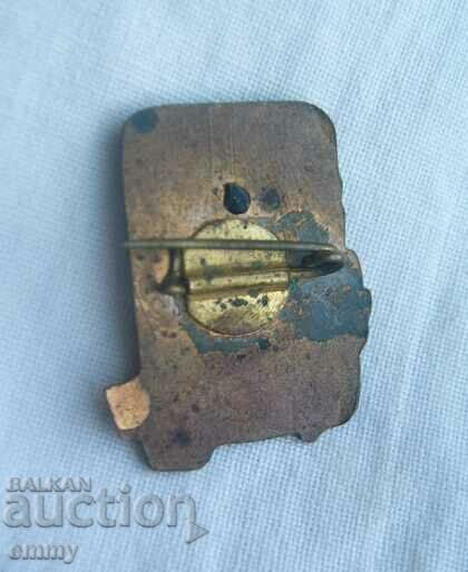 Licitație Insigna DKMS, Hristo Botev