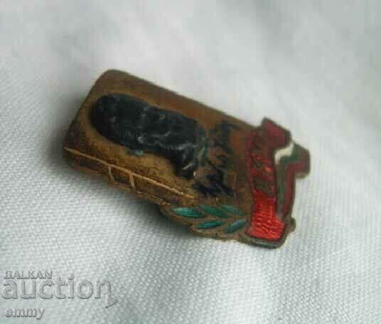 Livrarea Insigna DKMS, Hristo Botev