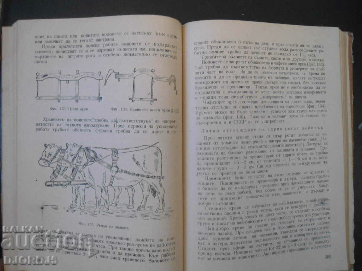 HYGIENE of farm animals, A.K. Skorokhodko with price 15.00 BGN | € 7.67 HYGIENE of farm animals, A.K. Skorokhodko with price 15.00 BGN | € 7.67