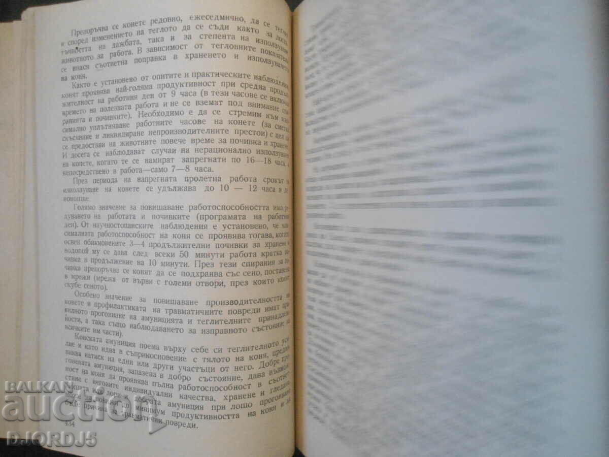 Auction HYGIENE of farm animals, A.K. Skorokhodko Auction HYGIENE of farm animals, A.K. Skorokhodko