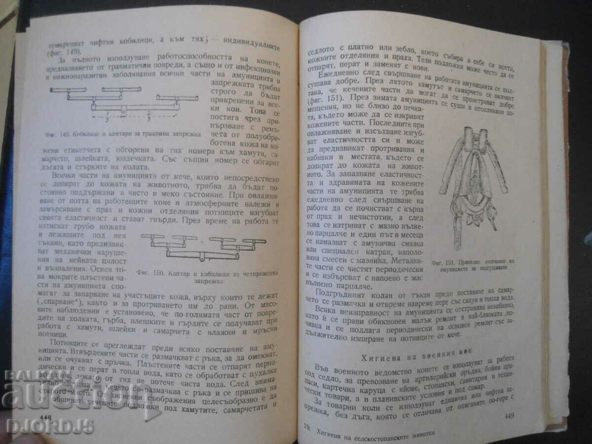 Delivery of HYGIENE of farm animals, A.K. Skorokhodko Delivery of HYGIENE of farm animals, A.K. Skorokhodko