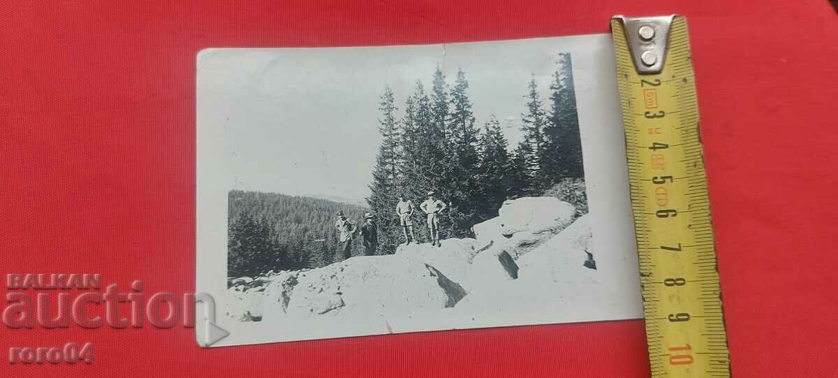 Licitație VITOSHA - ZONA FONFONU - 1930