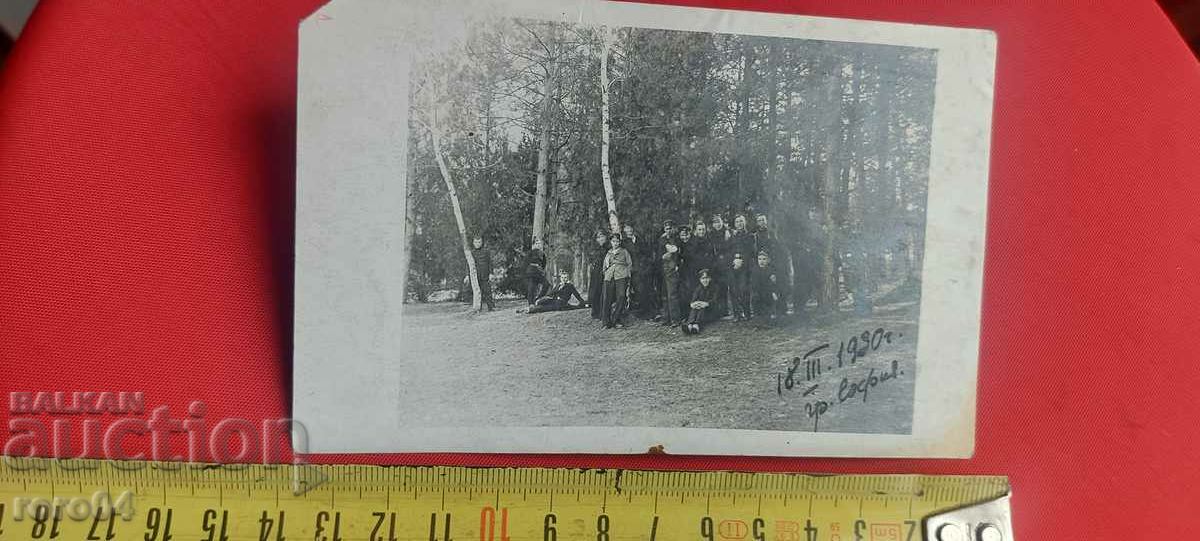 Δημοπρασία ΣΟΦΙΑ - 1930 Δημοπρασία ΣΟΦΙΑ - 1930