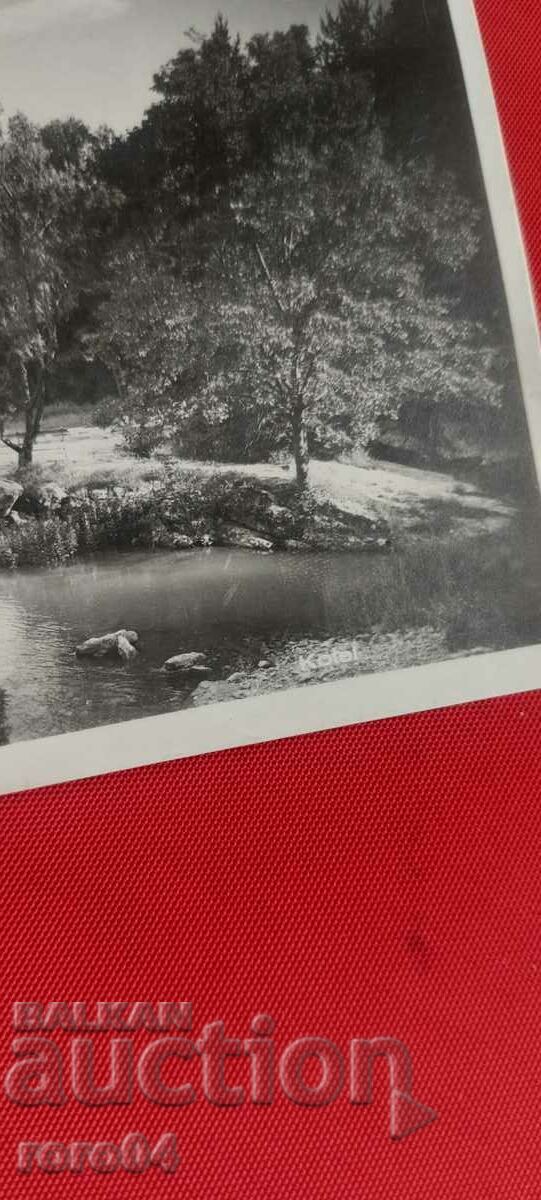 Auction BOILER - THE SPRINGS Auction BOILER - THE SPRINGS