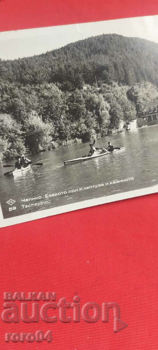 Auction CHEPINO Auction CHEPINO