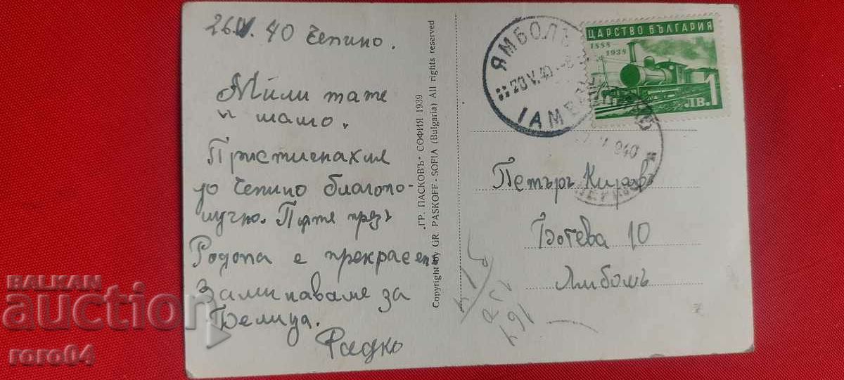 CHEPINO - 5 CHEPINO - 5