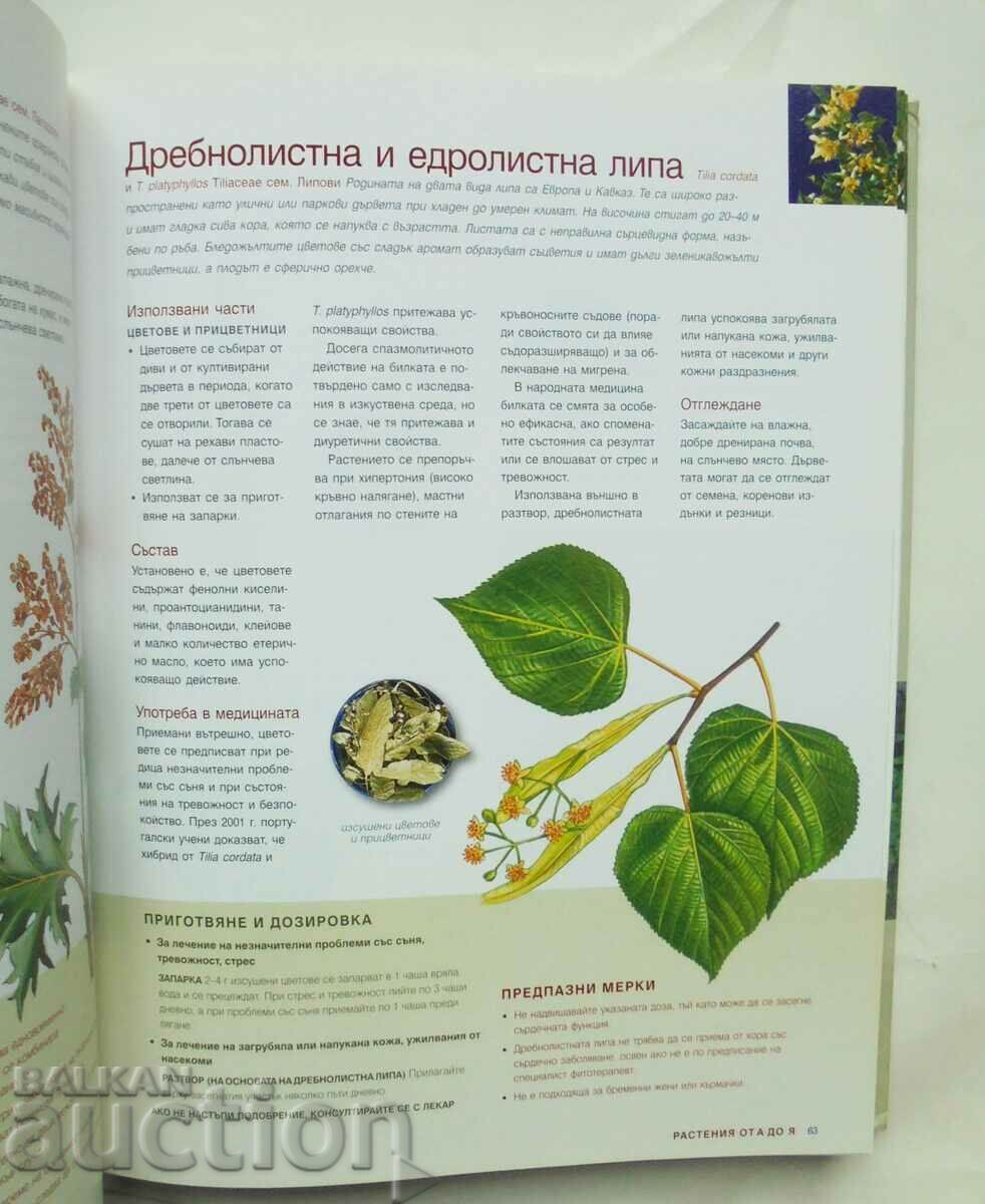 Auction Medicinal Plants 2006. Reader's Digest Auction Medicinal Plants 2006. Reader's Digest