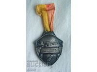 Официална значка/медал 1929 - Фестивал на Рона, Швейцария