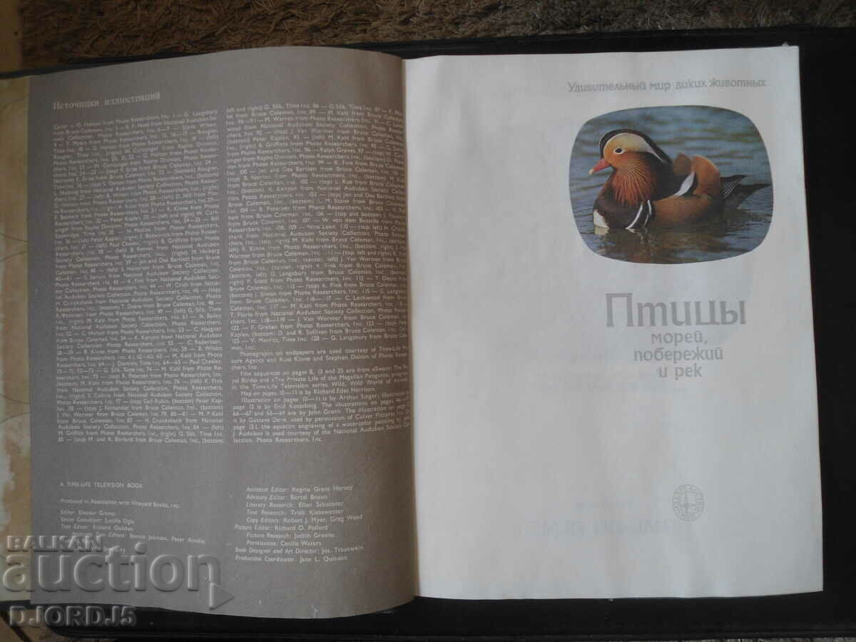 Birds sea, preserve and river with price 5.00 BGN | € 2.56 Birds sea, preserve and river with price 5.00 BGN | € 2.56