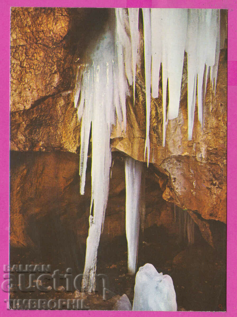 308933 / Σχηματισμοί πάγου σπηλαίου Λεδένικα 1980 Σεπτέμβριος