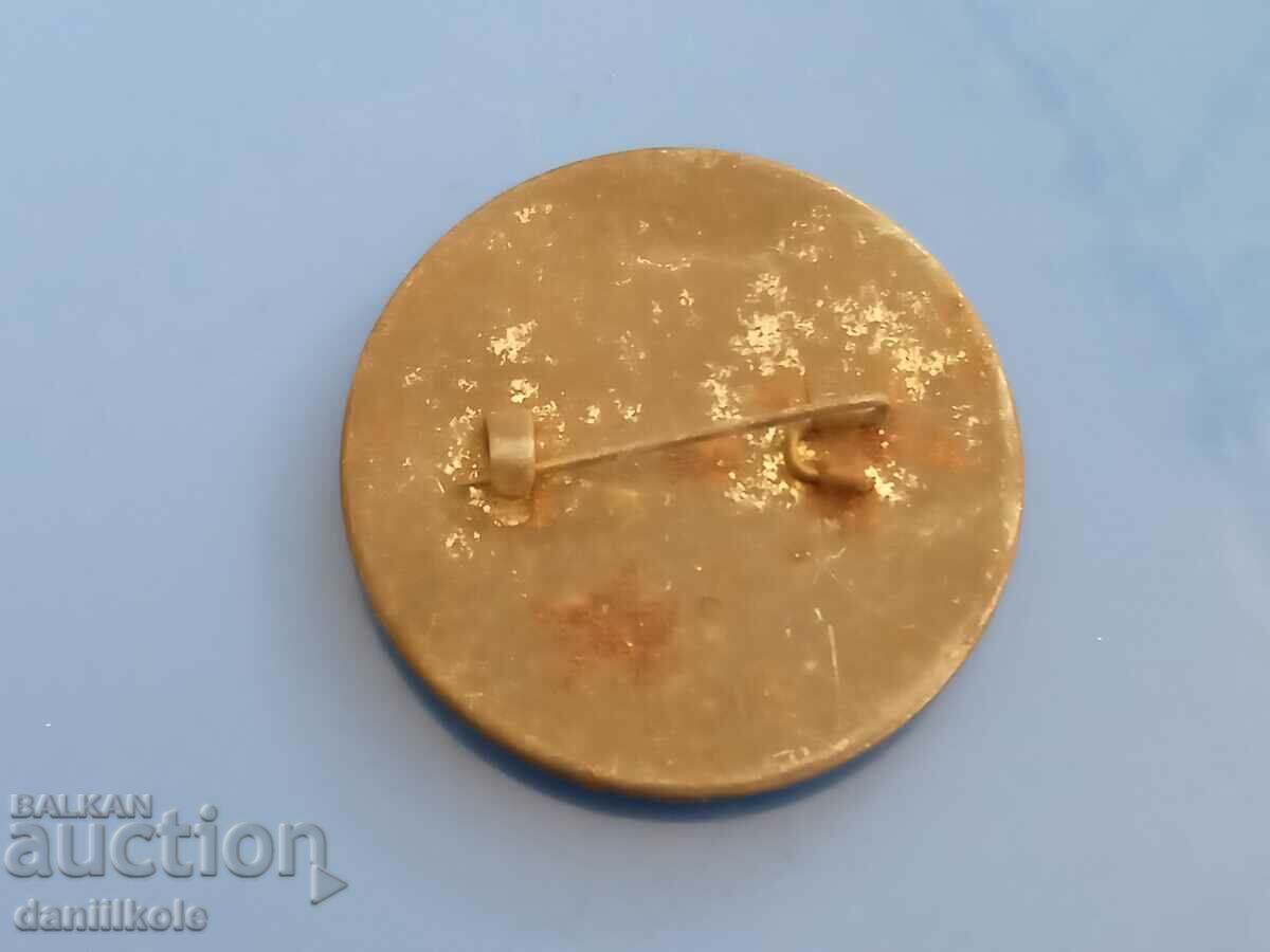 Delivery of *$*Y*$* LARGE USSR BADGE - A.S. PUSHKIN *$*Y*$*