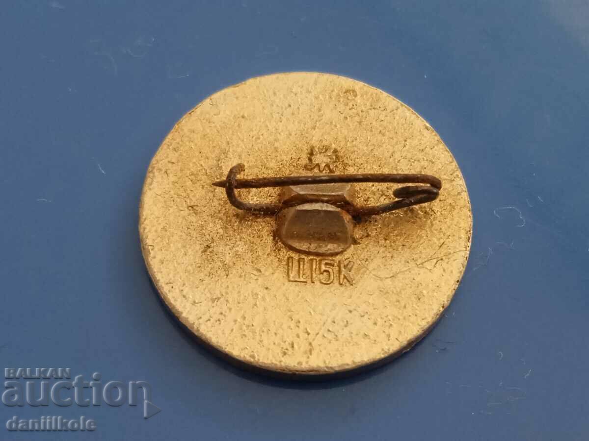 *$*Y*$* BADGE USSR - WORLD CHAMPIONS SWEDEN 1963 *$*Y*$* - 5 *$*Y*$* BADGE USSR - WORLD CHAMPIONS SWEDEN 1963 *$*Y*$* - 5
