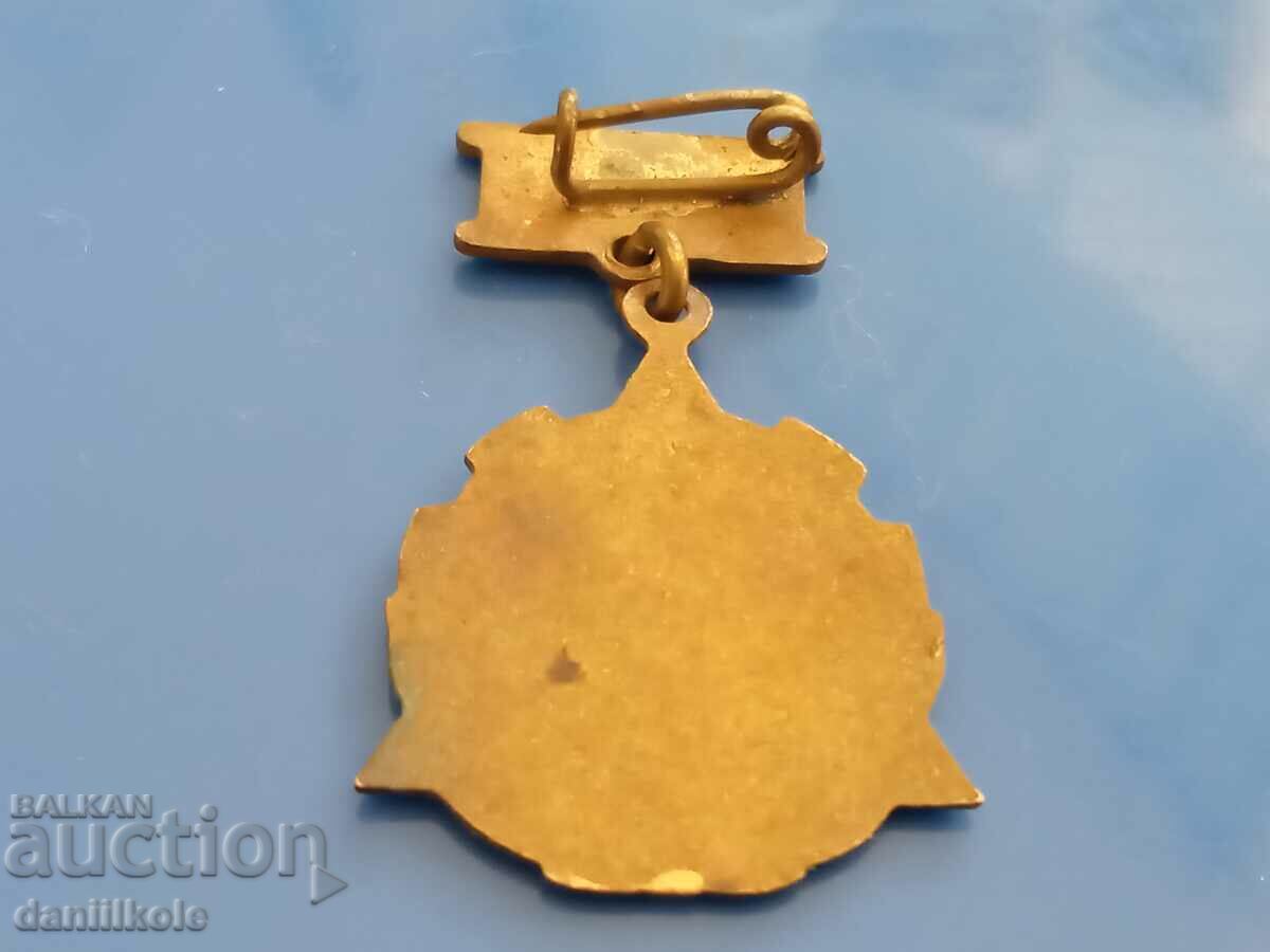 *$*Y*$* AWARD BADGE MEDAL MODEL RAILWAY EMAIL*$*Y*$* - 6