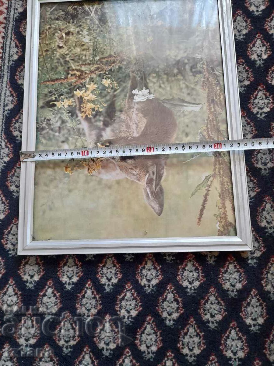 fotografie veche - 6