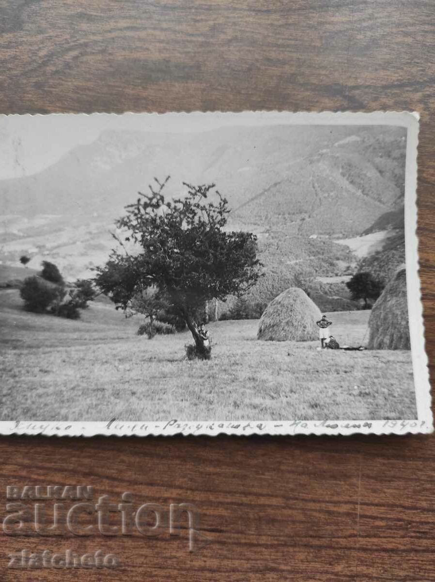 Old photo Kingdom of Bulgaria - with price 7.00 BGN | € 3.58 Old photo Kingdom of Bulgaria - with price 7.00 BGN | € 3.58