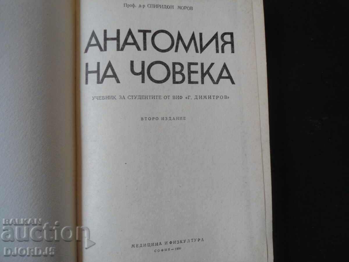 HUMAN ANATOMY, Spiridon Morov with price 50.00 BGN | € 25.56 HUMAN ANATOMY, Spiridon Morov with price 50.00 BGN | € 25.56