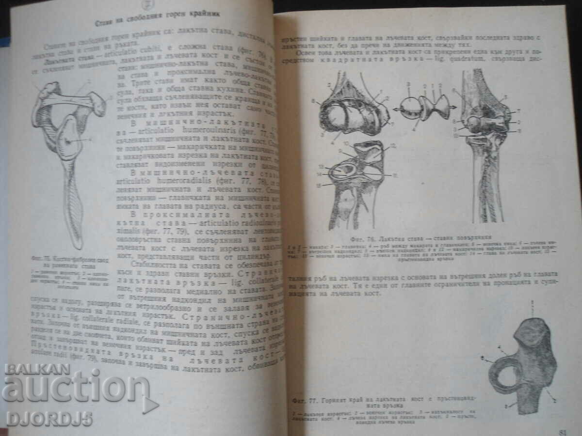 Auction HUMAN ANATOMY, Spiridon Morov Auction HUMAN ANATOMY, Spiridon Morov