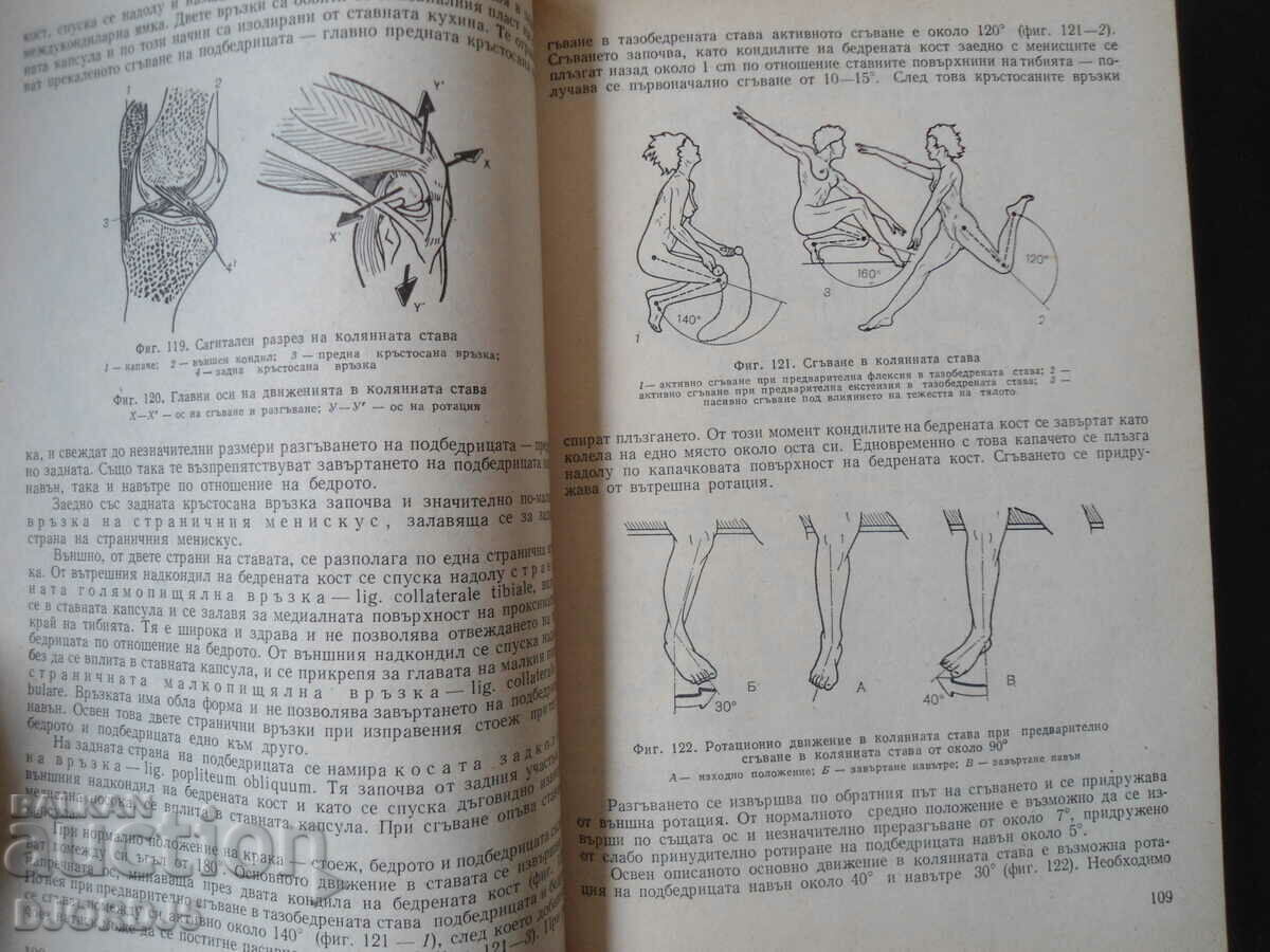 Delivery of HUMAN ANATOMY, Spiridon Morov Delivery of HUMAN ANATOMY, Spiridon Morov