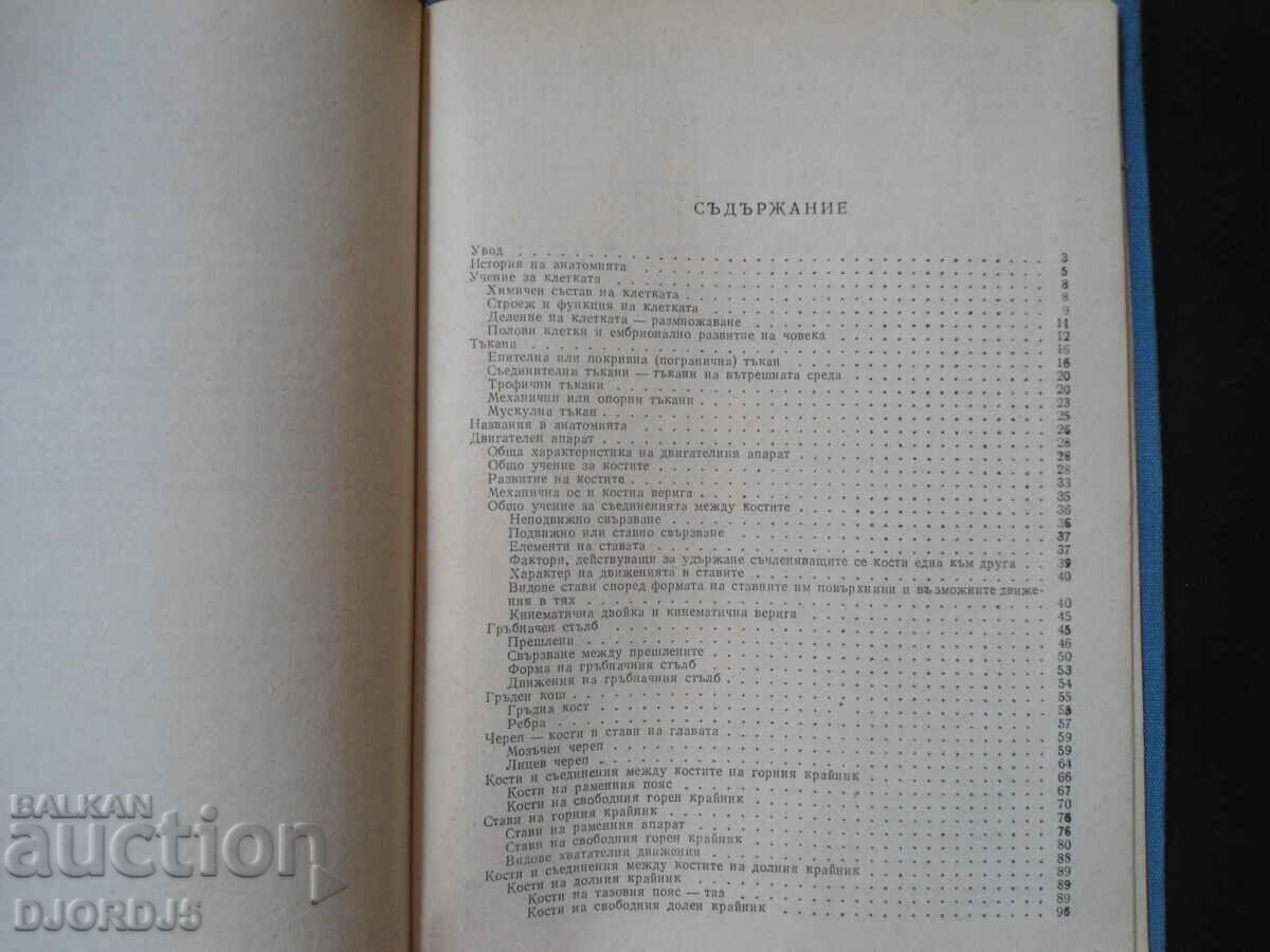 HUMAN ANATOMY, Spiridon Morov - 5 HUMAN ANATOMY, Spiridon Morov - 5