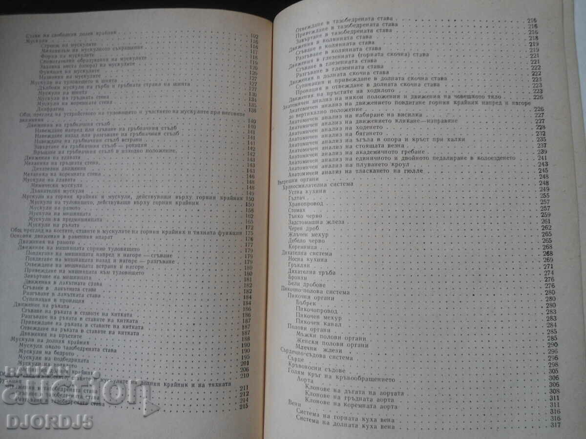 HUMAN ANATOMY, Spiridon Morov - 6 HUMAN ANATOMY, Spiridon Morov - 6