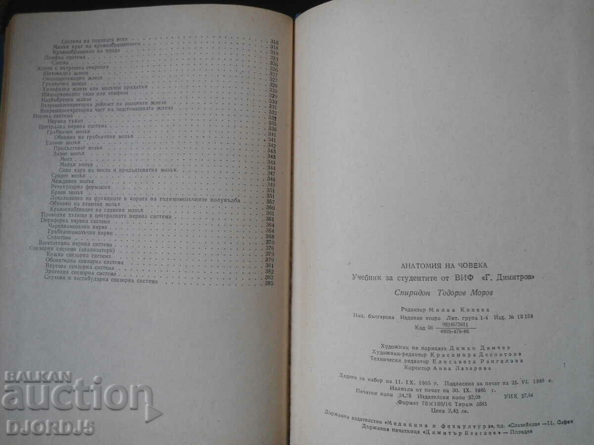 HUMAN ANATOMY, Spiridon Morov - 7 HUMAN ANATOMY, Spiridon Morov - 7