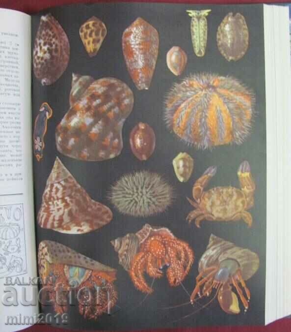 1968.Book of Animals and Sea Dwellers Volume 1 - 7 1968.Book of Animals and Sea Dwellers Volume 1 - 7