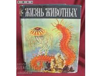 1968г.Книга за Животните и Морските Обитатели 1-ви Том