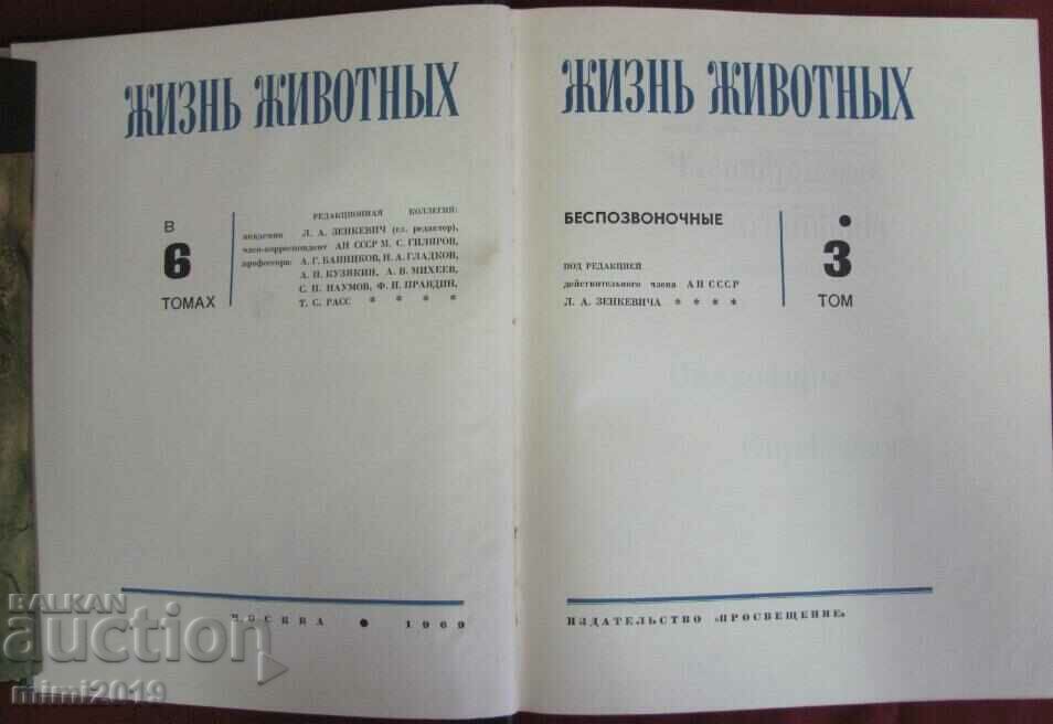 1969.Book of Animals, Insects Volume 3 with price 80.00 BGN | € 40.90 1969.Book of Animals, Insects Volume 3 with price 80.00 BGN | € 40.90