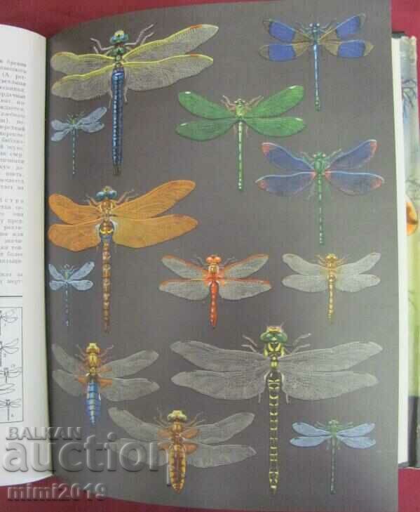 Auction 1969.Book of Animals, Insects Volume 3 Auction 1969.Book of Animals, Insects Volume 3