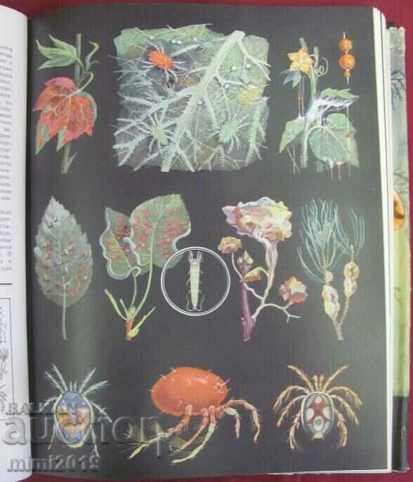 Delivery of 1969.Book of Animals, Insects Volume 3 Delivery of 1969.Book of Animals, Insects Volume 3