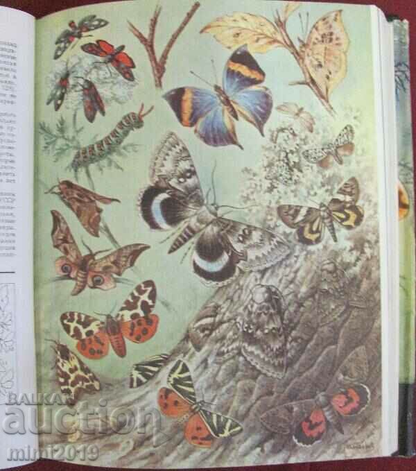 1969.Book of Animals, Insects Volume 3 - 5 1969.Book of Animals, Insects Volume 3 - 5