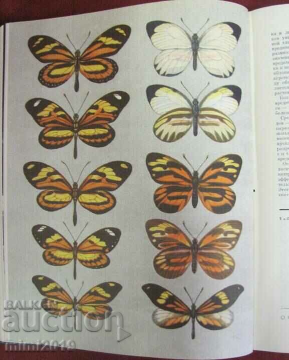 1969.Book of Animals, Insects Volume 3 - 6 1969.Book of Animals, Insects Volume 3 - 6