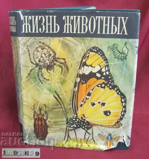 1969.Cartea animalelor, Insecte Volumul 3