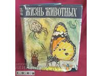 1969.Cartea animalelor, Insecte Volumul 3