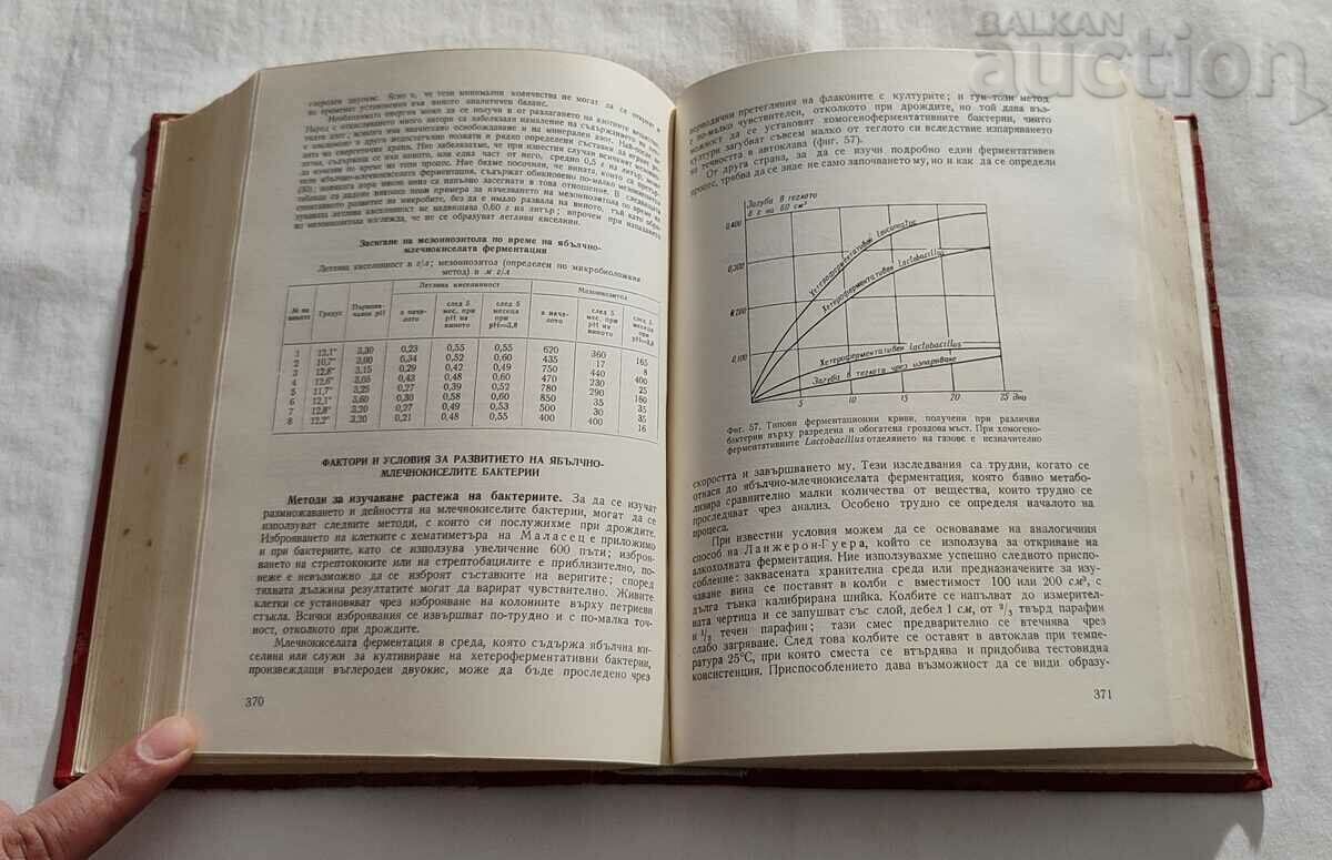 G. RIBERO-GAYON/PEINO WINERY PART TWO 1967. - 5 G. RIBERO-GAYON/PEINO WINERY PART TWO 1967. - 5