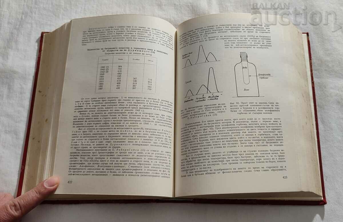 G. RIBERO-GAYON/PEINO WINERY PART TWO 1967. - 6 G. RIBERO-GAYON/PEINO WINERY PART TWO 1967. - 6