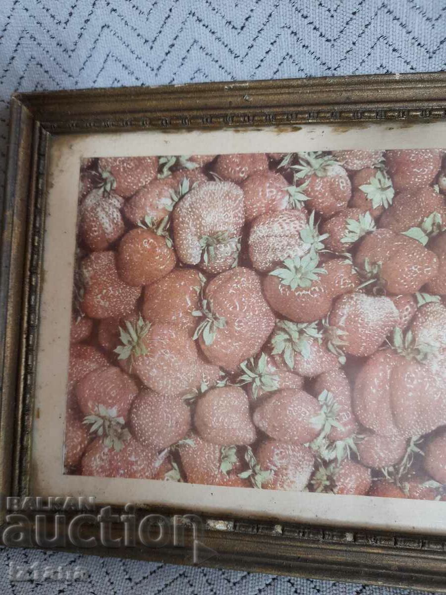 Old painting with price 20.00 BGN | € 10.23 Old painting with price 20.00 BGN | € 10.23