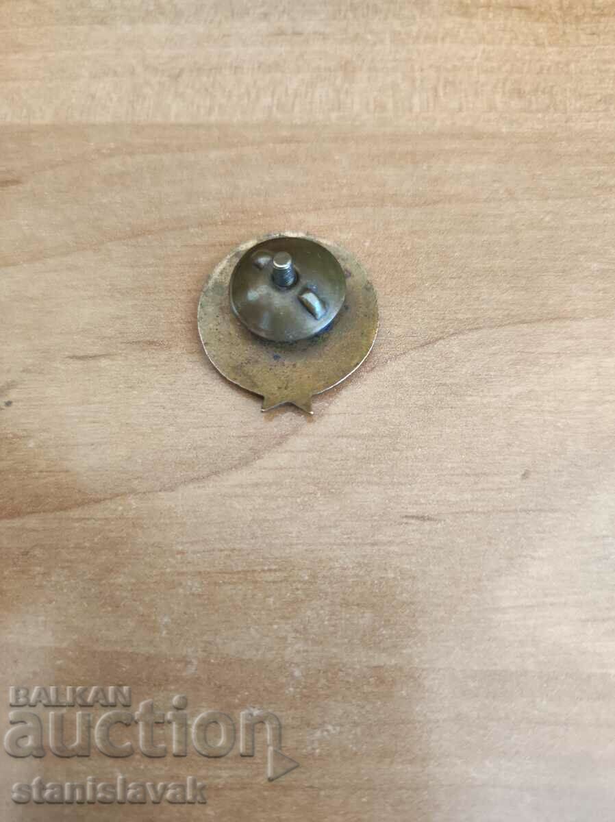 A rare sign of labor for the electrification of Bulgaria with price € 46.00 | 89.97 BGN