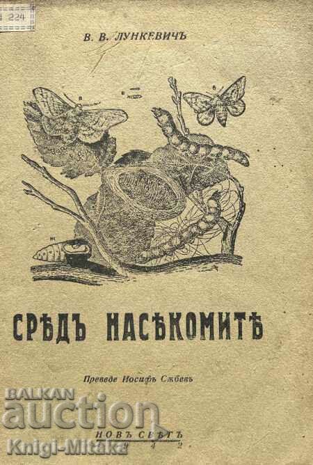 Among the insects - V. V. Lunkevich