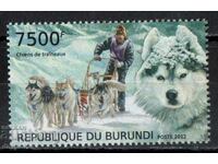 2012. Burundi. Sled dogs - Huskies.