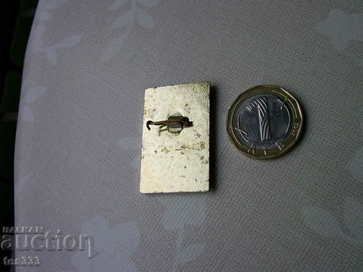 Доставка на Значка Ехо 25 години весник