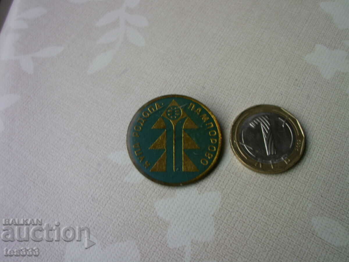 Licitație Badge Cup Rhodope Pamporovo schi