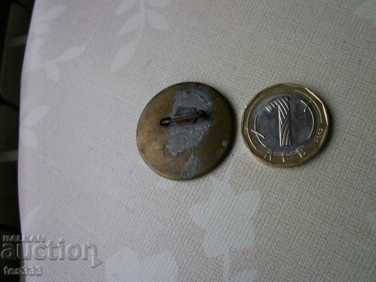 Livrarea Badge Cup Rhodope Pamporovo schi