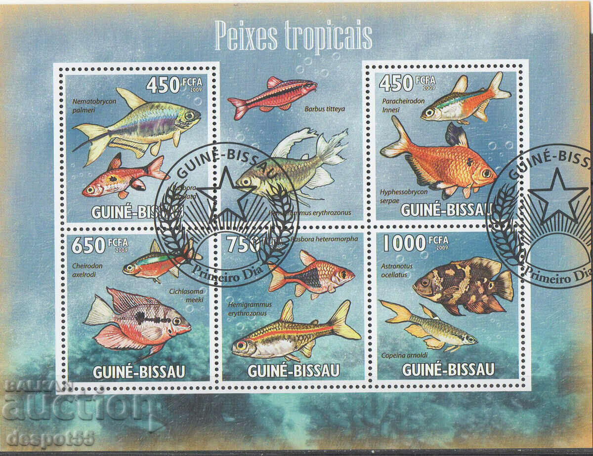 2009. Guineea Bissau. Fauna - pește tropical.