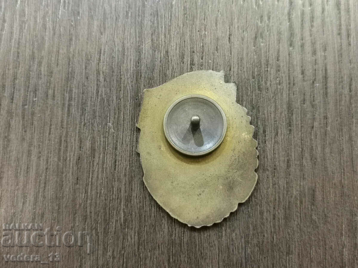 BADGE with price 10.00 BGN | € 5.11 BADGE with price 10.00 BGN | € 5.11