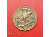 Germania-medalia „Cel mai bun trăgător” 1963
