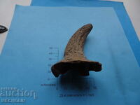 VERY OLD TOOTH OR HORN